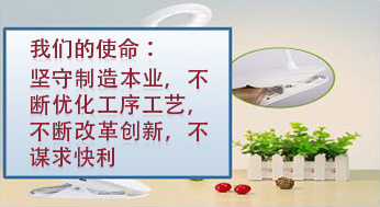 我們的使命：堅(jiān)守制造本業(yè)，不斷優(yōu)化工序工藝，不斷改革創(chuàng)新，不謀求快利